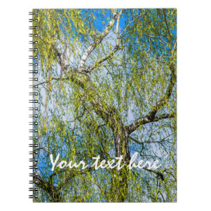 Carnet Birch tree - Le printemps est dans l'air