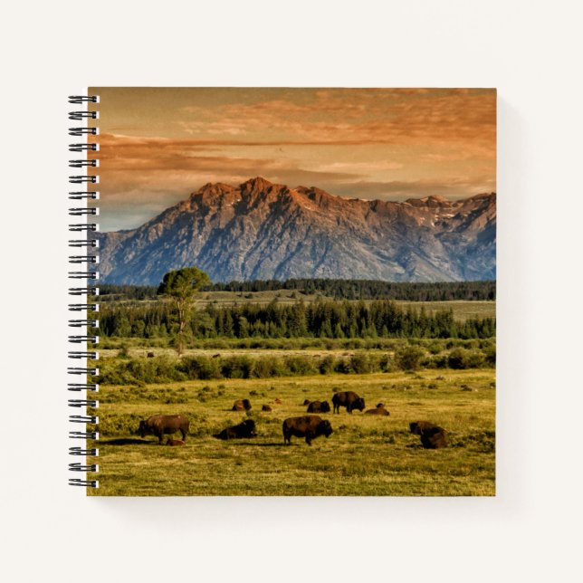 Carnet Bison au lever du soleil (Devant)