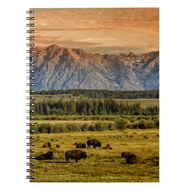 Carnet Bison au lever du soleil (Devant)