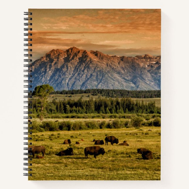Carnet Bison au lever du soleil (Devant)