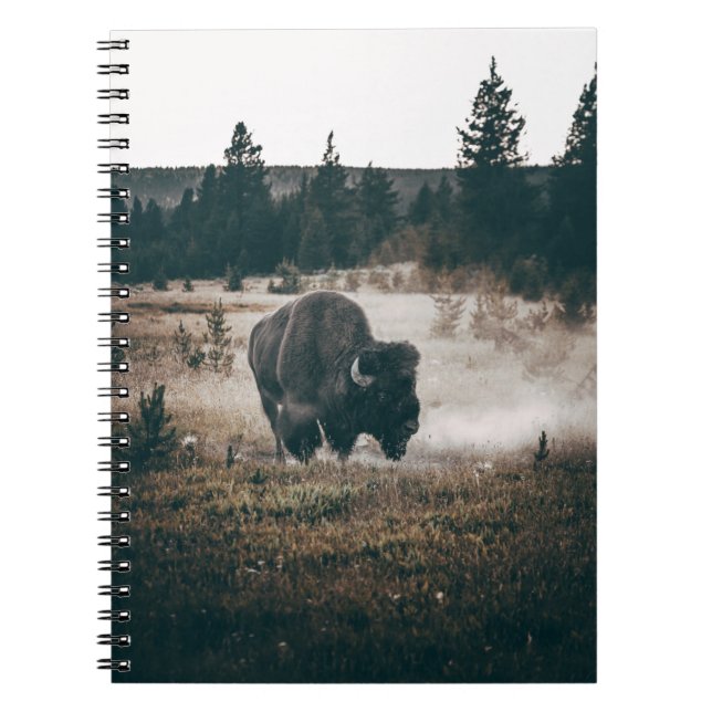 Carnet BISON Brown SUR LE CHAMP GRASS BROWN EN JOURNÉE (Devant)