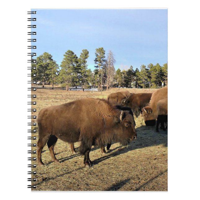Carnet Bison dans le Colorado (Devant)