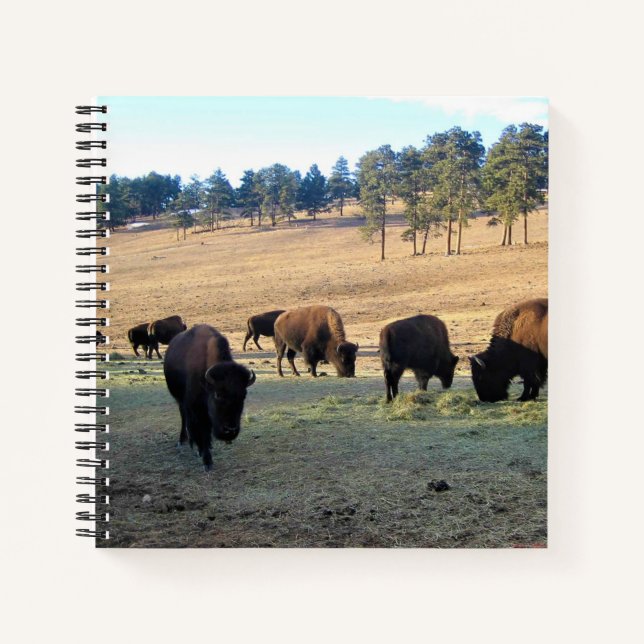 Carnet Bison dans le Colorado (Devant)