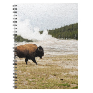 Carnet Bison et Vieux fidèles