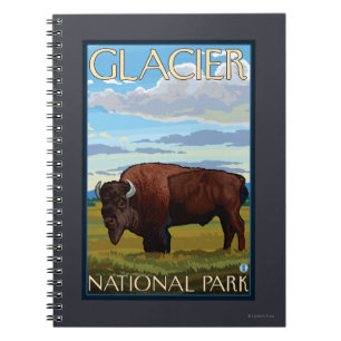 Carnet Bison Scene - Glacier National Park, MT