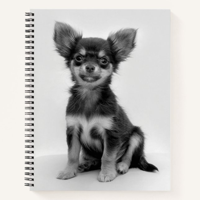 Carnet Black and White Chihuahua Puppy Photo (Devant)