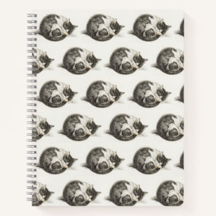 Carnet Black and white pencil drawing of a sleepcat