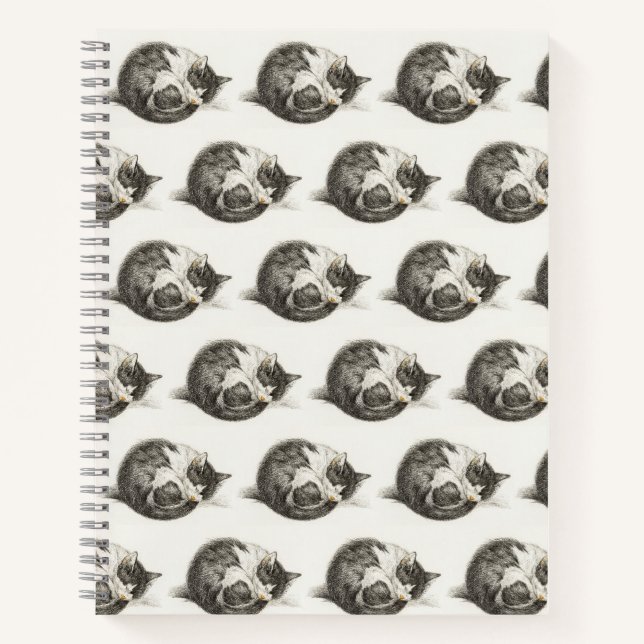 Carnet Black and white pencil drawing of a sleepcat (Devant)