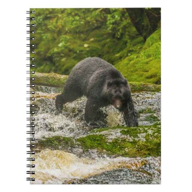 Carnet Black Bear Fishing | Qua Creek Colombie-Britanniqu (Devant)
