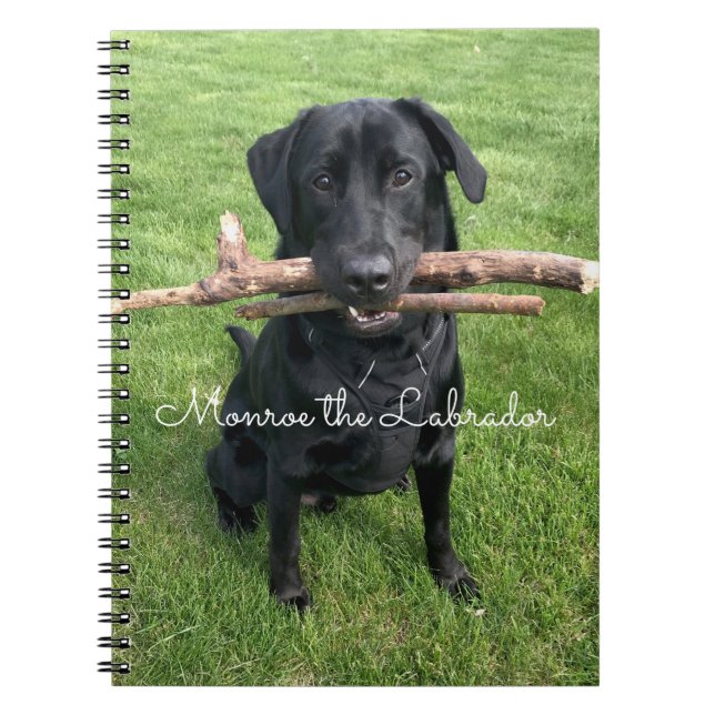 Carnet Black Lab avec deux bâtons Photo et nom du chien (Devant)