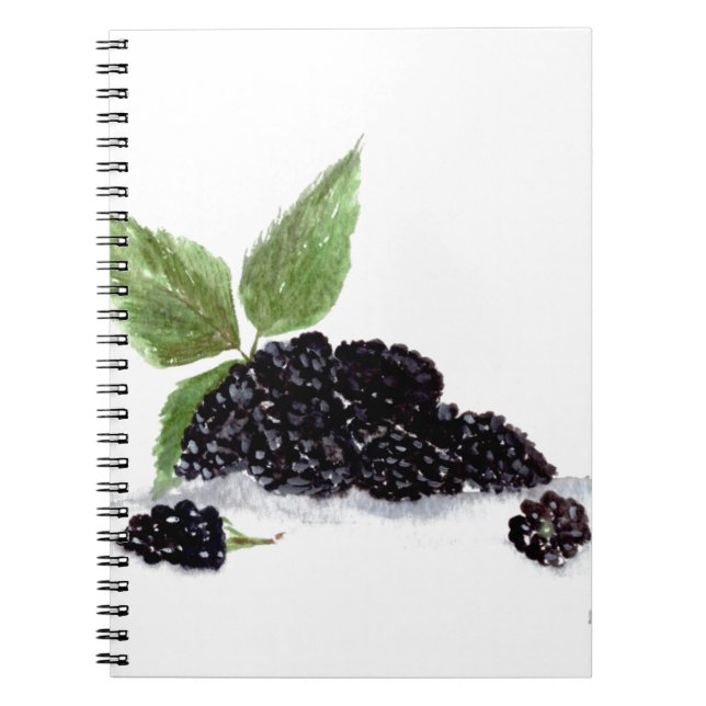 Carnet Blackberries fruits watercolour painting (Devant)