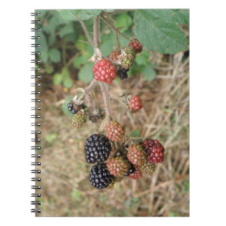 Carnet Blackberry Bonanza