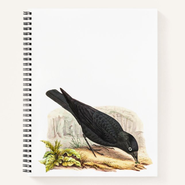 Carnet Blackbird Le Corbeau (Devant)