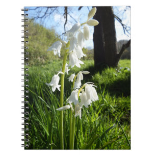 Carnet blanc de jacinthes des bois