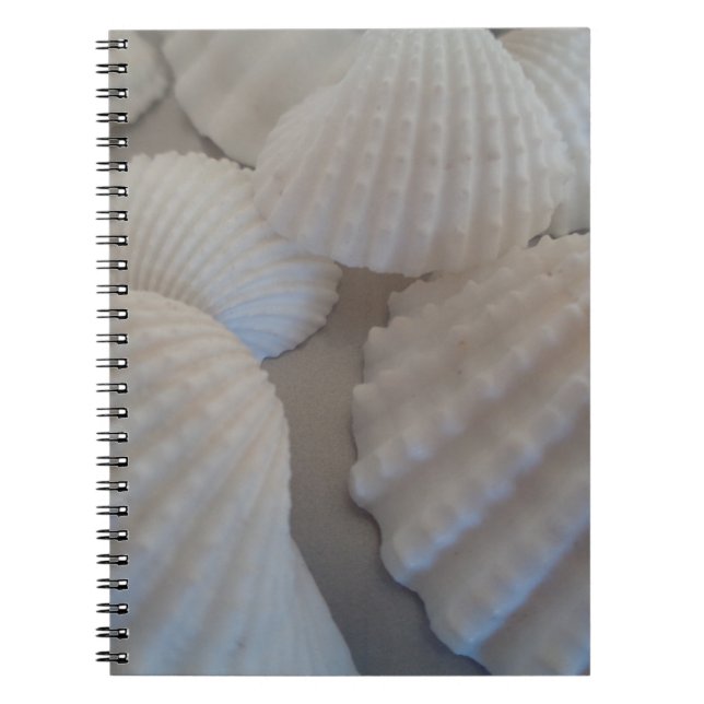 Carnet Blanc gris, Coquillages, Sea Shell Summer Beach Lo (Devant)