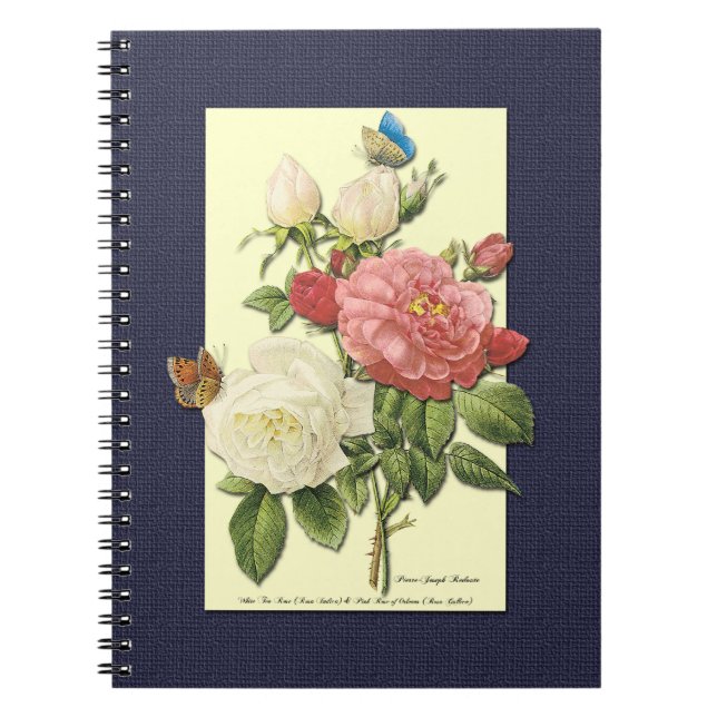 Carnet Blanc rose Vintage Roses botaniques (Devant)