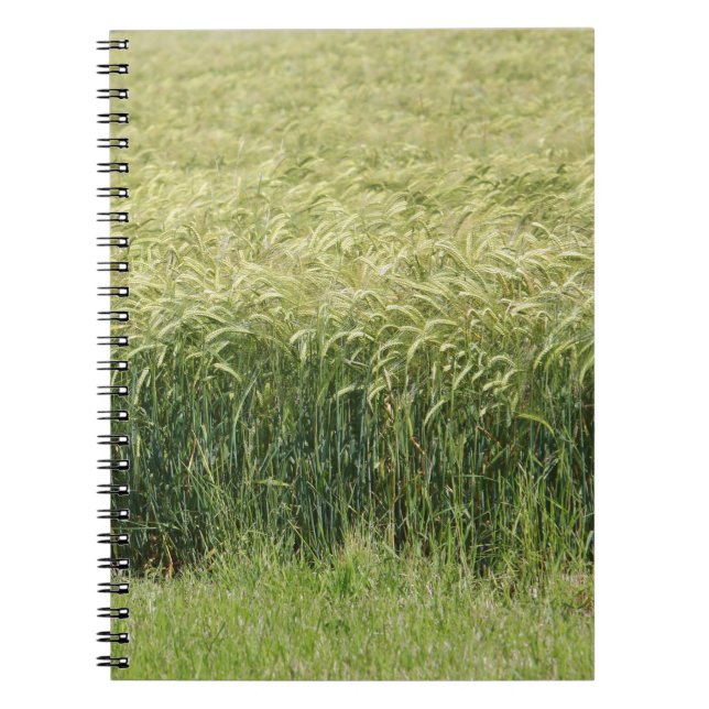 Carnet Blé - Savoureux ! (Devant)