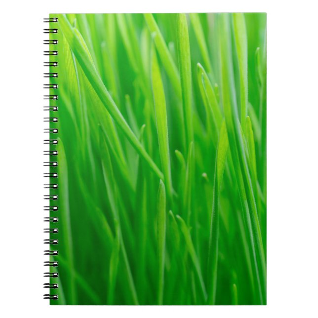 Carnet Blé vert vibrant frais  (Devant)