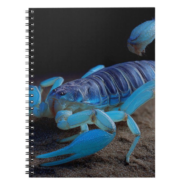 Carnet bleu brillant Scorpion (Devant)