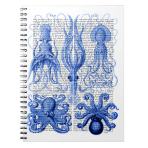Carnet Bleu de poulpe et de calmar