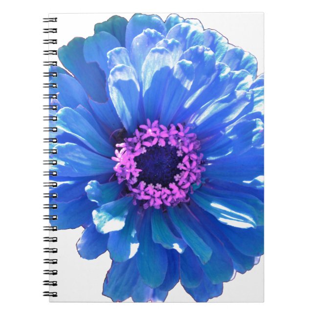 Carnet Bleu marguerite bleu photo florale (Devant)
