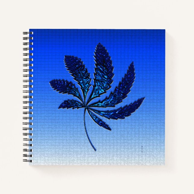 Carnet Bleu N brillant..... (Devant)
