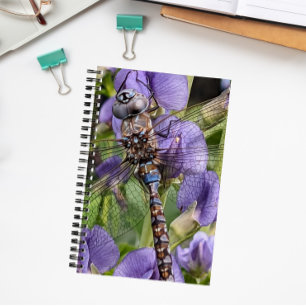 Carnet Bleu-Oyé Denton sur Flower