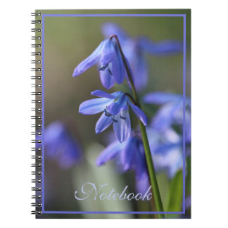 Carnet Bleu Scilla siberica (Squill en Bois) Fleurs