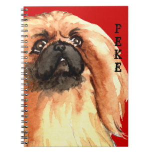 Carnet Bloc de couleur Pekingese