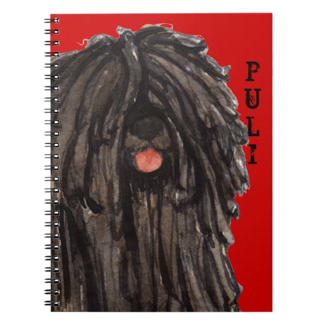 Carnet Bloc de couleurs Puli (Devant)