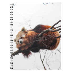 Carnet Bloc-notes Red Panda