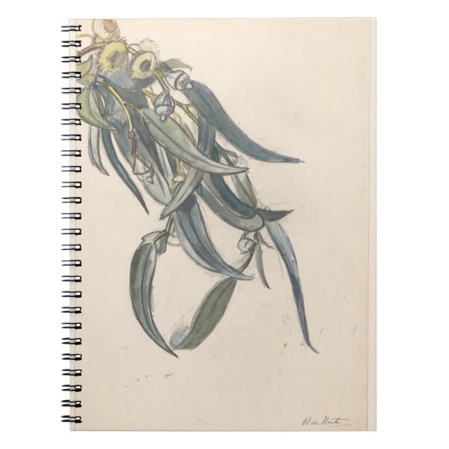 Carnet Bloeiende tak van een eucalyptus (Devant)