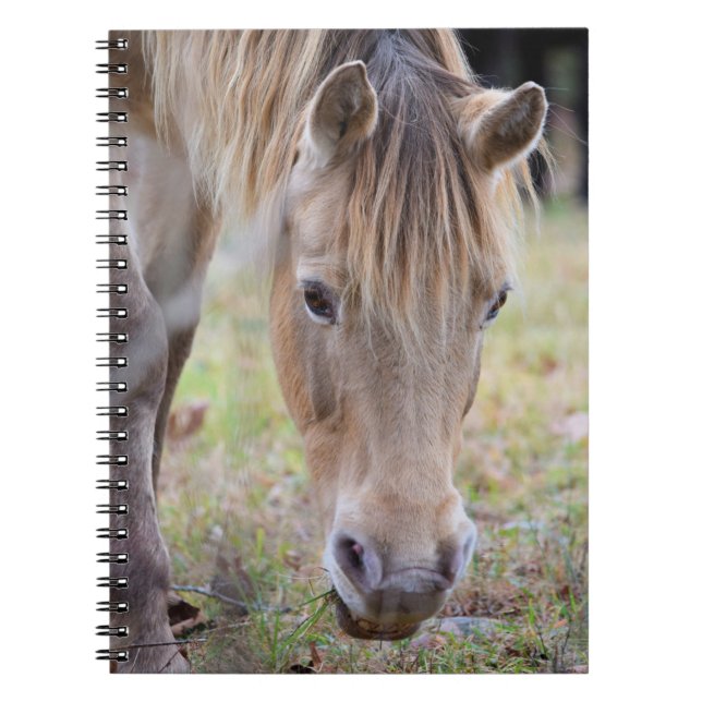 Carnet Blonde Horse (Devant)