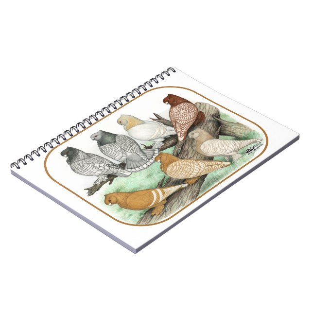 Carnet Blondinettes de pigeons de frill classique (Côté gauche)