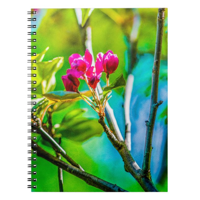 Carnet Blossom à l'intérieur (Devant)