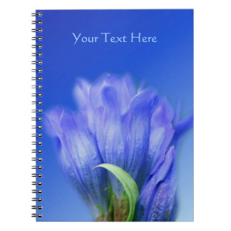 Carnet Blue Gentian Flower Nature