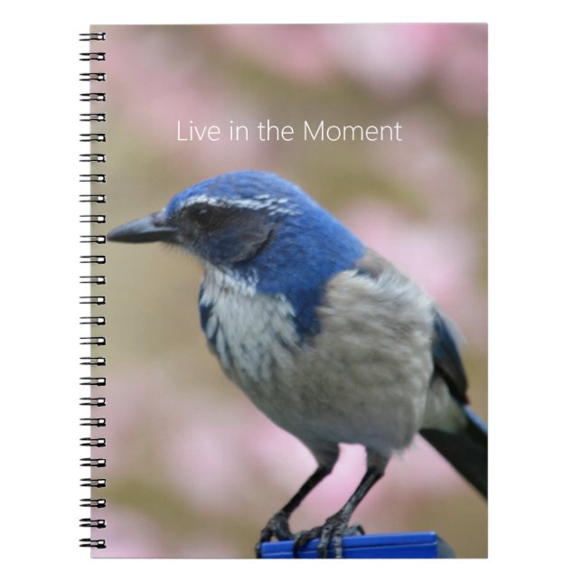 Carnet Bluebird Pink Floral (my photography) (Devant)