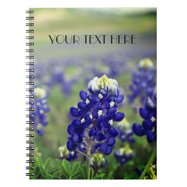 Carnet Bluebonnets Blue Flowers Texas texan Floral (Devant)