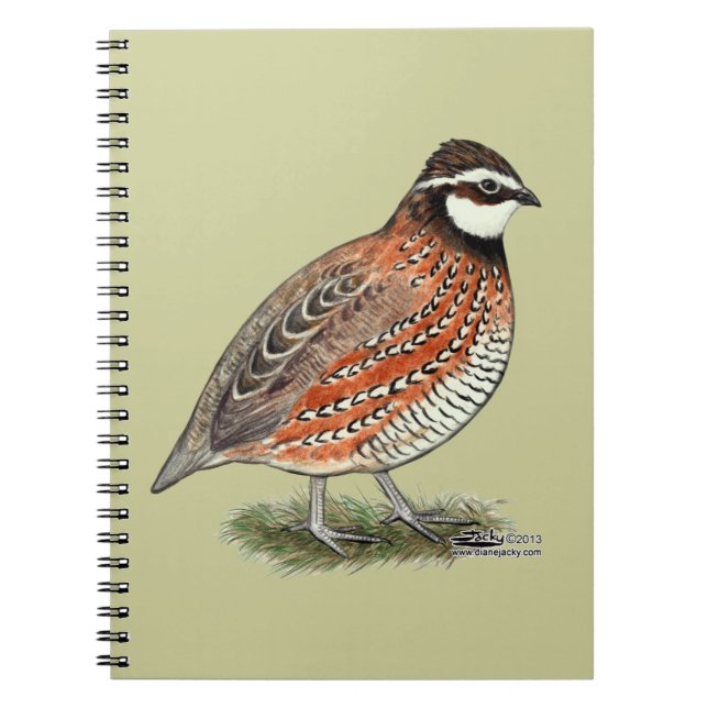 Carnet Bobwhite Quail (Devant)