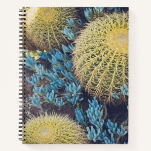 Carnet Boho Cactus Garden