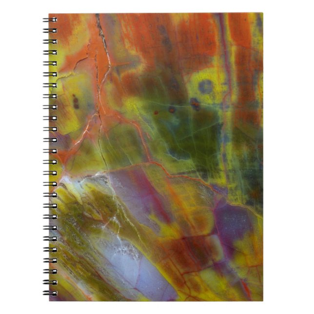 Carnet Bois pétrifié arc-en-ciel (Devant)