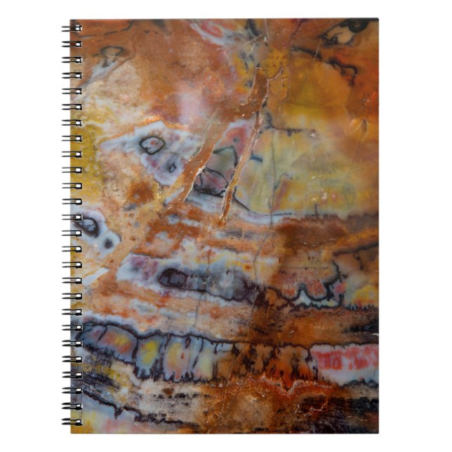 Carnet Bois Pétrifié Brun (Devant)