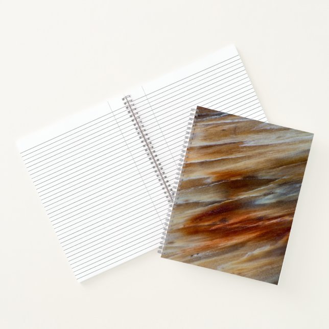 Carnet Bois pétrifié déchiqueté (Intérieur)