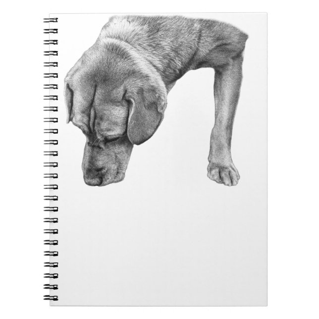 Carnet "boîtier de protection" "conception minimale pour  (Devant)