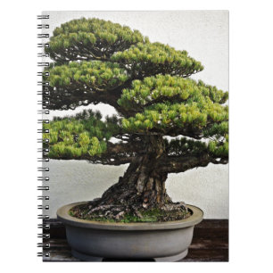 Carnet Bonsaïs de White Pine de Japonais