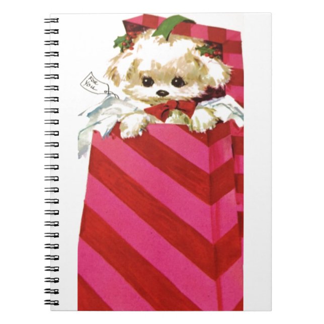 Carnet Bonsoir de Noël, coquelicot Bichon Lhasa Maltese (Devant)