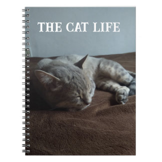 Carnet Book the Cat life