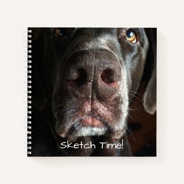 Carnet Boop My Nez Labrador Retriever Gros plan Photo (Devant)