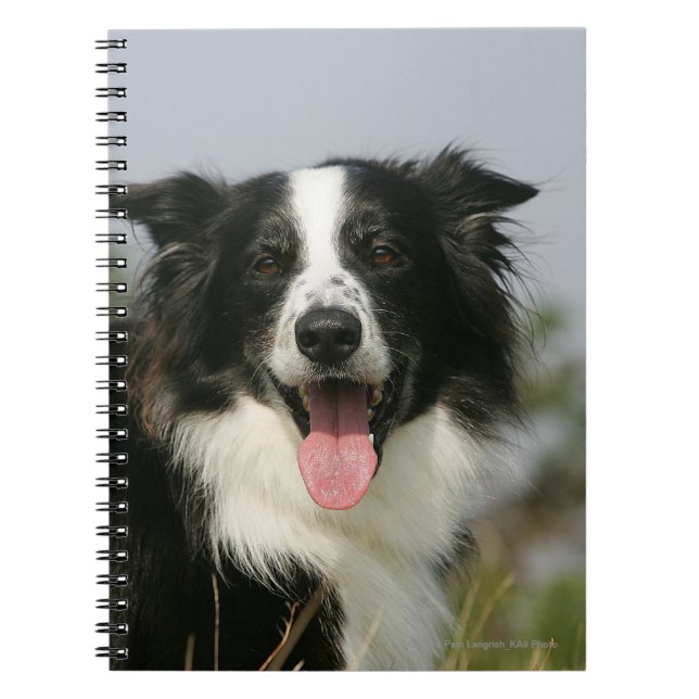 Carnet Border collie haletant le Headshot 1 (Devant)