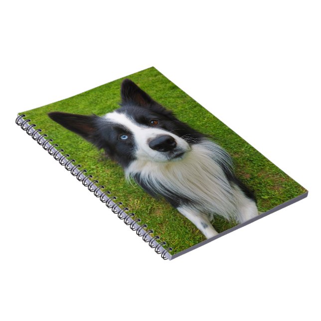 Carnet Bordure Collie (Côté Droit)